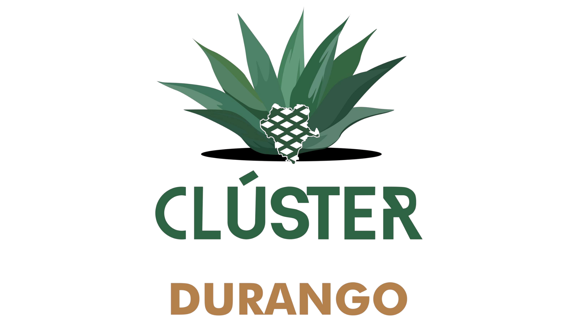 Empresa 3